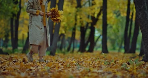 Young Pretty Woman Collecting Bunch of Maple Leaves in Beautiful Forest in Autumn Day Prores