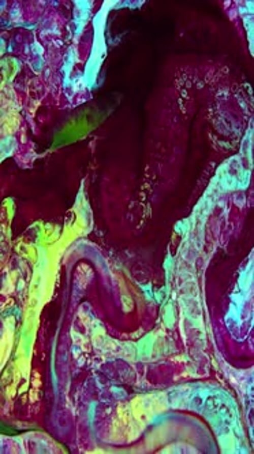 Abstract Swirling Paint Colors and Motion