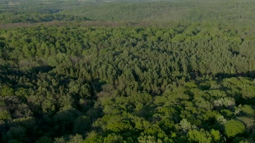 Aerial over a dense forest in the mountains of Wisconsin during dusk. It's a warm and humid summer