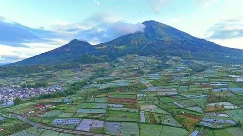 Aerial view of agriculture of vegetable plantation, agricultural land with green in countryside.