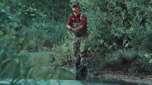 Fly fishing. Angler fishing on the bushy coast and casts the line downstream the narrow creek