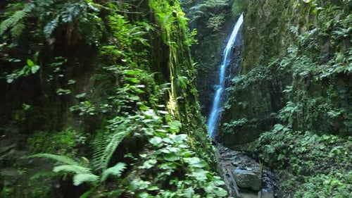 Picturesque Waterfall Flowing Through Lush Green Landscape