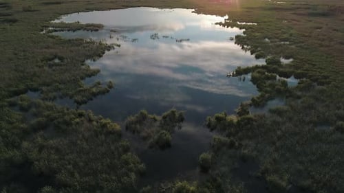 Aerial Landscape in Rural Area Drone Flies Over the Green Grass in Marshland Beautiful Morning