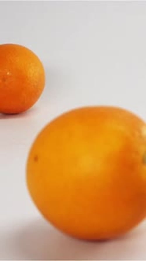 Vertikale Orangen fallen und springen auf eine weiße, nasse Oberfläche