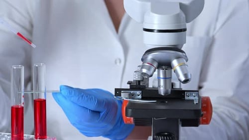Lab Technician Transfers Liquid for Microscopic Analysis