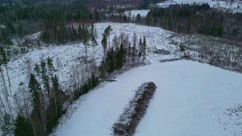 Awesome aerial view of the forest in winter, with a frozen snowy landscape and trees
