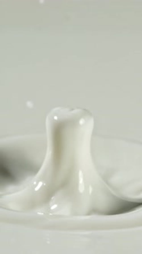 Splashes From a Drop of Milk Filmed on a Highspeed Camera at 1000 Fps