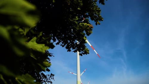 Niedrigwinkelaufnahme von Windturbinen, die hinter dem grünen Baum arbeiten und grüne elektrische Energie erzeugen i