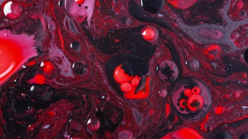 Abstract Red and Black Liquid Forms Intriguing Patterns