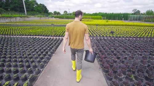 Man Walks Through rows of Plants in Nursery