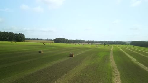 Round Hay Bales on the Green Field