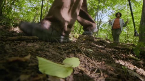 Tourists Trekking on Trail in Forest Using Hiking Poles