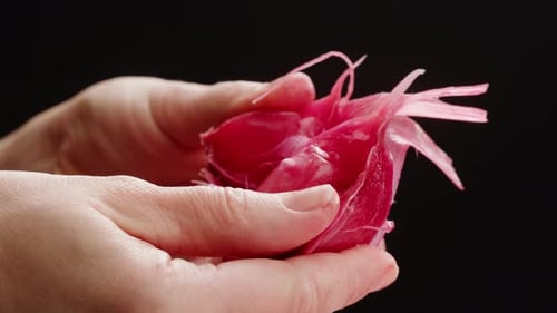 Whole Fermented Garlic Marinated Salted Ferment Pickled Vegetables Healthy Super Food Close Up Macro