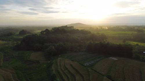 Beautiful morning view indonesia Panorama Landscape paddy fields with beauty color and sky natural