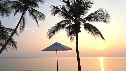 Beach Umbrella or sunshade and Tropical Palm trees silhouette at Exotic Island In Philippines at col