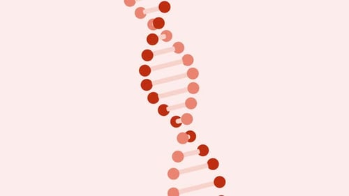 Minimalist DNA Double Helix Formation and Rotation