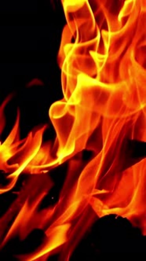 Slow motion of fire at bonfire in the dark, closeup. Bonfire sparks and hot embers at night.