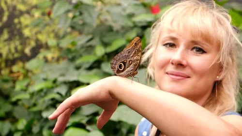 Foco seletivo de borboleta tropical na mão