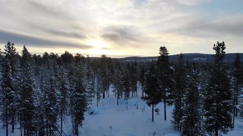 Snowy Forest And Countryside Winter In Rovaniemi, Lapland, Finland - aerial drone ascending