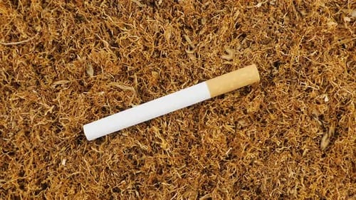Tabaco auténtico natural