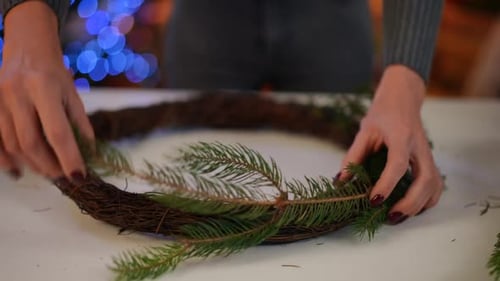 Closeup Unrecognizable Woman Making Christmas Wreath with Green Fir Tree Branches Indoors
