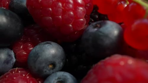 Close-Up of Fresh and Colorful Mixed Berries