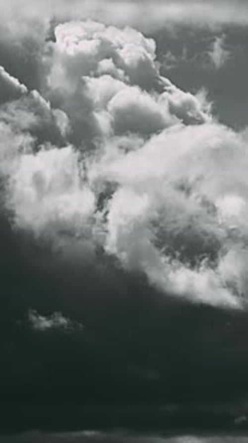 Timelapse Timelapse Black and White