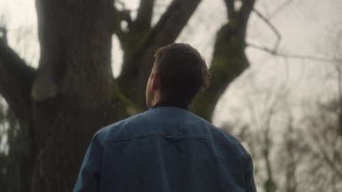 Hombre mirando un árbol