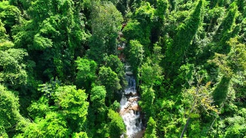 Aerial View of Jungle Waterfall in Tropical Rainforest