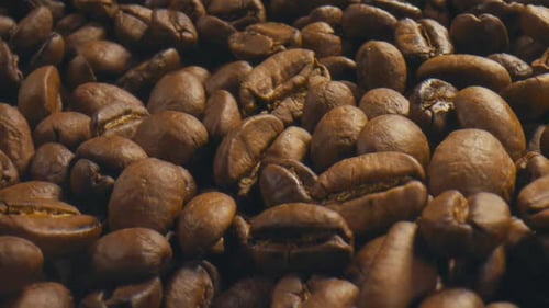 Macro Footage of Roasted Coffee Beans