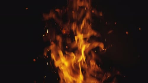 Brennender Wald mit Feuerfunken