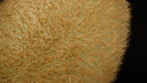 Macro Shot of a Fuzzy Kiwi Fruit