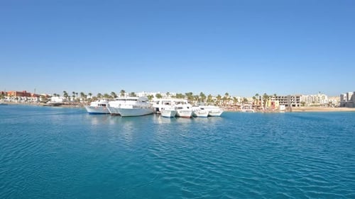 Moored luxury yachts at tropical resort, handheld view