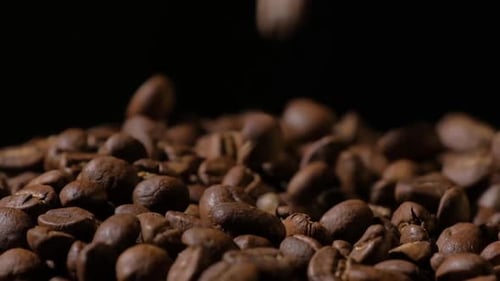 Slow motion of roasted coffee beans falling. Organic coffee seeds.