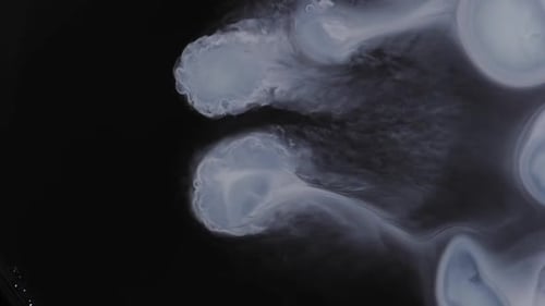 Abstract White Plumes Flowing on Black Background