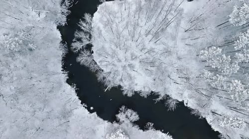 Aerial view of frozen forest and winding river in winter.