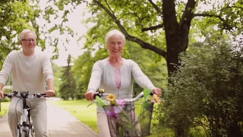 Happy senior couple enjoying leisurely bicycle ride through sunny summer park