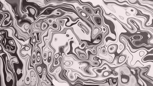 Dynamic Abstract Fluid Monochrome Flowing Background Animation