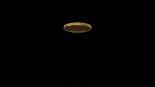 Realistic 3D Gold Coin Spinning Looping Animation