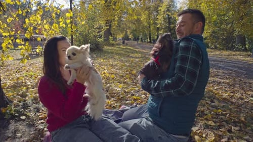 A Couple is Playing with a Dog in a Yellow Leaf in an Autumn Park