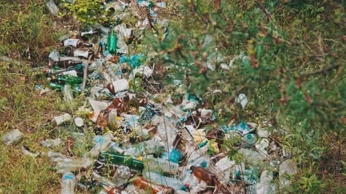 Illegal Garbage Dump of Plastic and Bottles in the Forest Pit Pollution