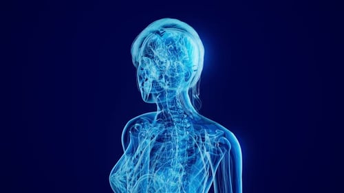 Human Neck and Spine Pain Medical Scan Visualization