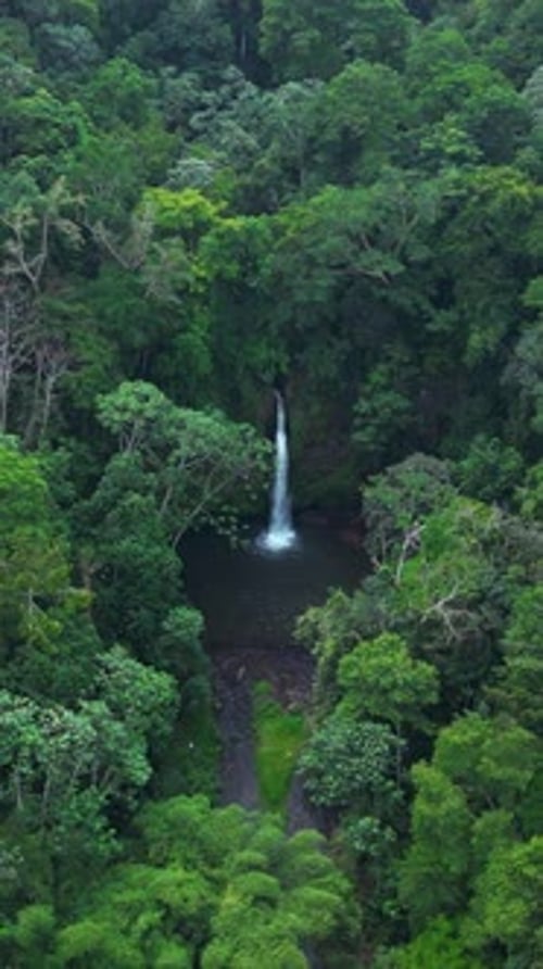 Vertical drone shot of a falcon flying over the Guegue waterfall in Sao Tome