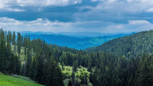 Mountain Valley with Meadows and Spruce Forests Against the Backdrop of a Daytime Cloudy Sky