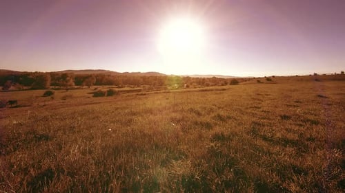 UHD Mountain Meadow Timelapse at the Summer Clouds Trees Green Grass and Sun Rays Movement