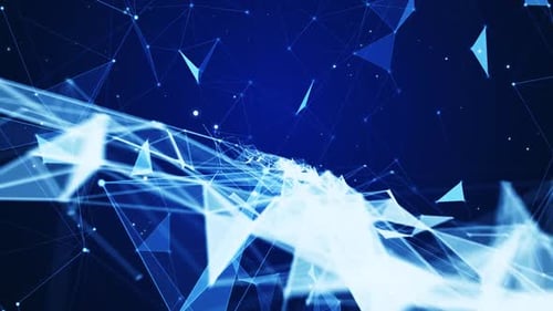 Texto do Crypto Plexus