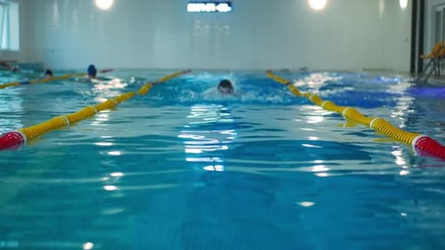 Front View Swimming Pool Track with Motivated Sportsman Swimming in Slow Motion Appearing at Front