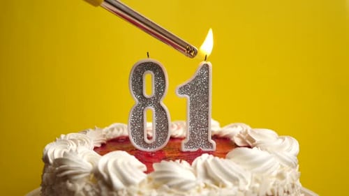 81. A candle in the form of the number 81, inserted into the holiday cake, is lit. Celebrating a bir