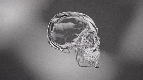 Black And White Glass Skull