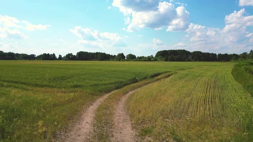rural road going through farmlands during summer evening